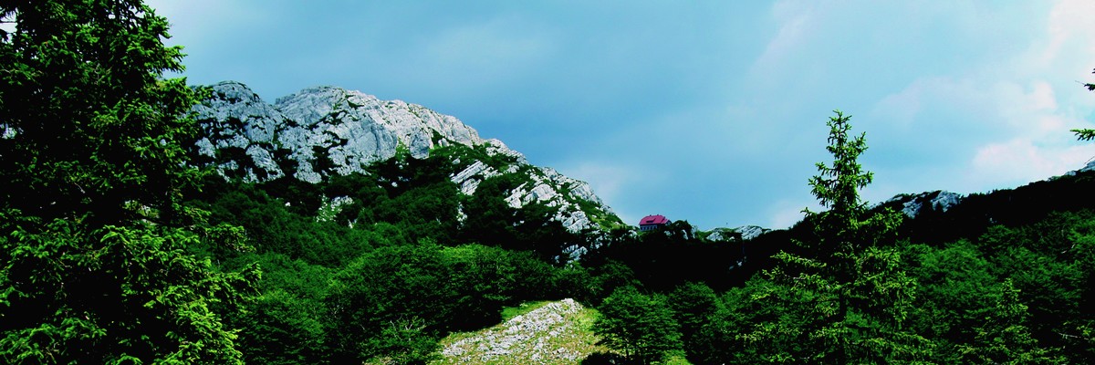 risnjak_foto_alan_caplar risnjak_foto_alan_caplar